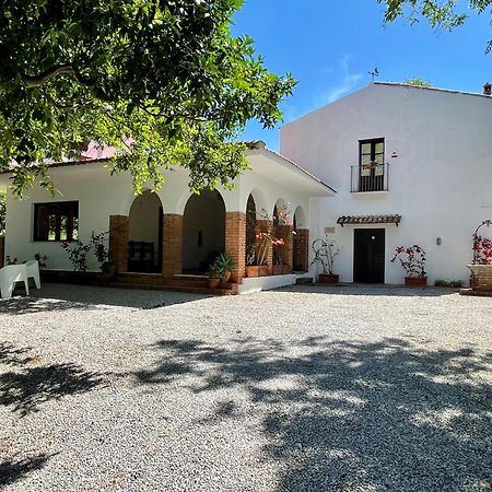 Villa Tana Pacenzia Cefalù Εξωτερικό φωτογραφία