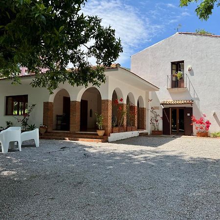 Villa Tana Pacenzia Cefalù Εξωτερικό φωτογραφία
