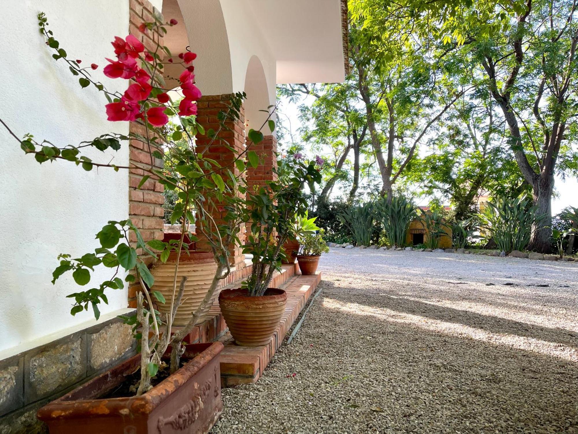 Villa Tana Pacenzia Cefalù Εξωτερικό φωτογραφία