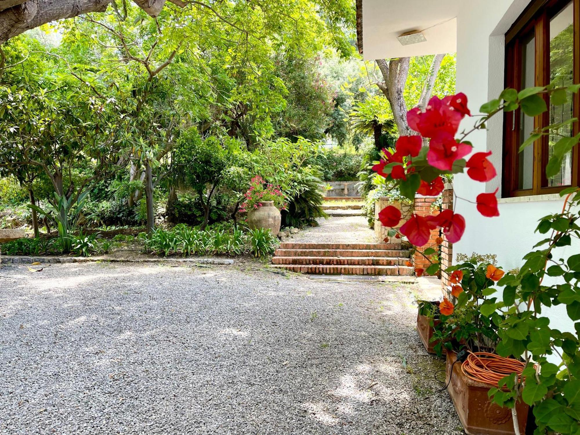 Villa Tana Pacenzia Cefalù Εξωτερικό φωτογραφία